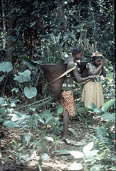 Femmes collectant des feuilles
