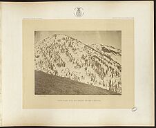 Snow Peaks, Bull Run Mining District, Nevada
